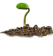 no image found