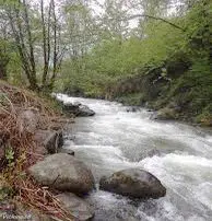 torrent6